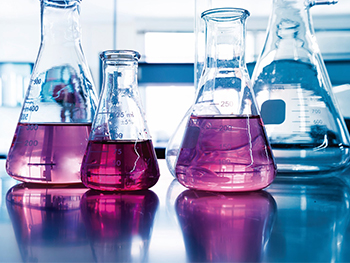 imagen temática de la sesión